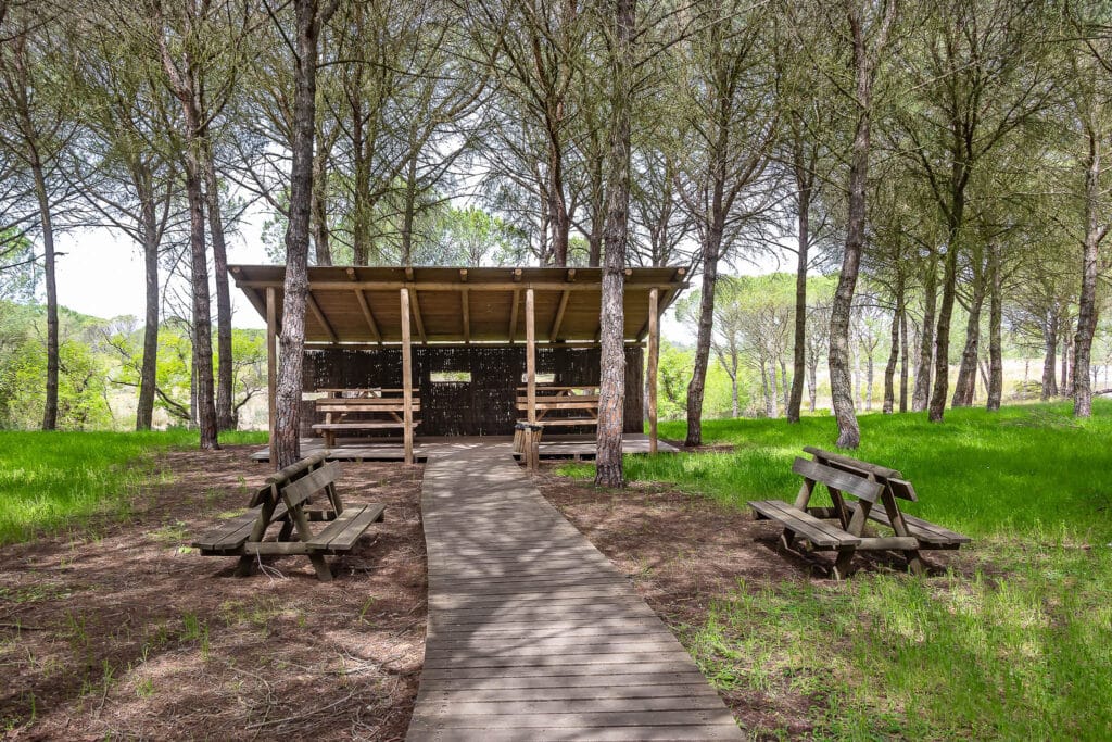 La Rocina Bird Observatory in Donana National Park