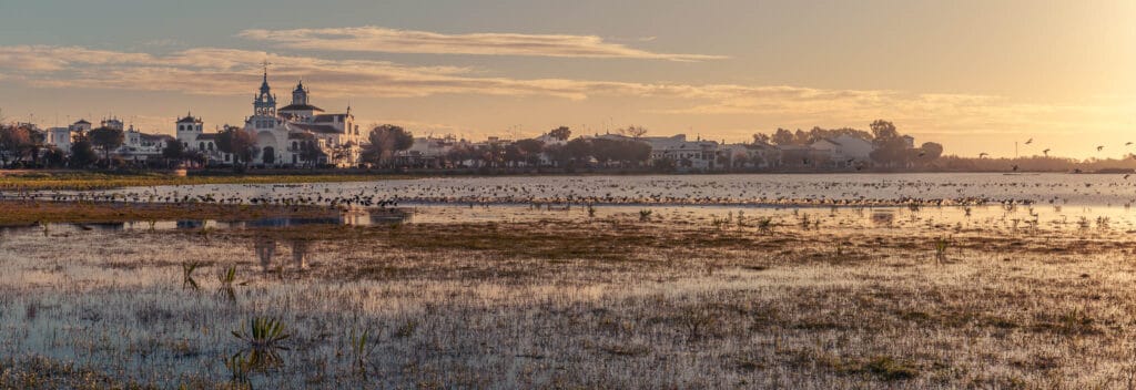 The sunrise is a great time to see birds and other wildlife. The soft light also improves the chance of lovely photographs